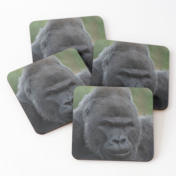 Item preview, Silverback Stare designed and sold by rawshutterbug.