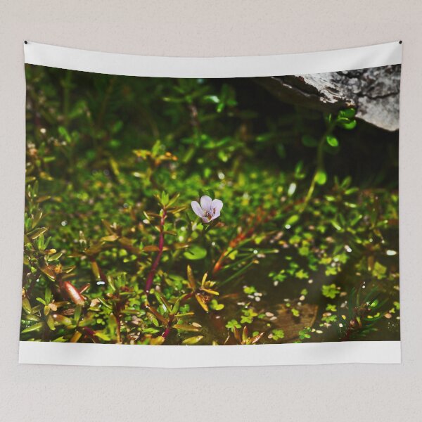 Item preview, A Tiny Pale Purple Pond With Small Ant Inside designed and sold by Jason Gilbert.