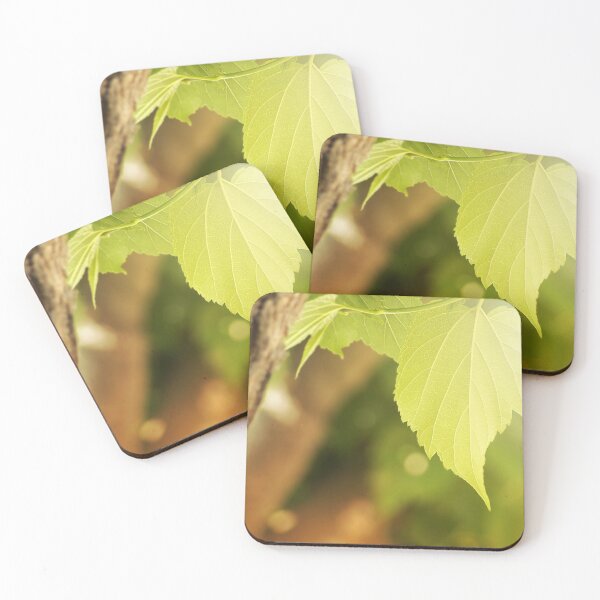 Item preview, Leaf on tree under sunlight designed and sold by Grégory DUBUS.