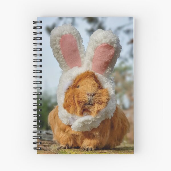 Item preview, Bunny Guinea Pig! designed and sold by OfficialPigDad.