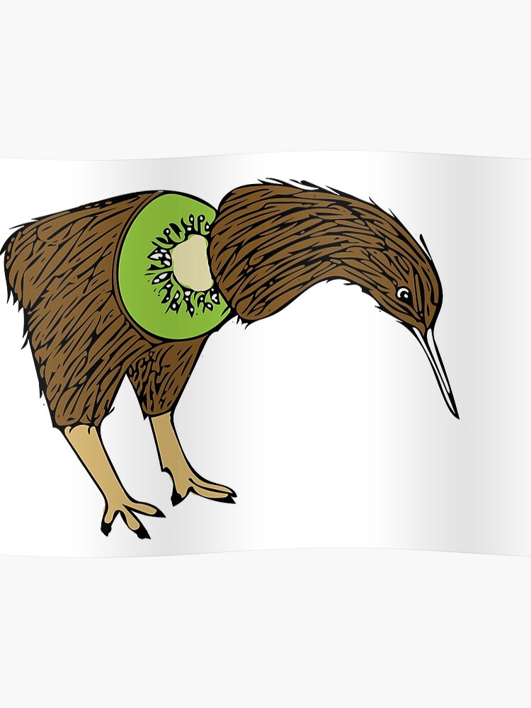 Oiseau Kiwi Poster