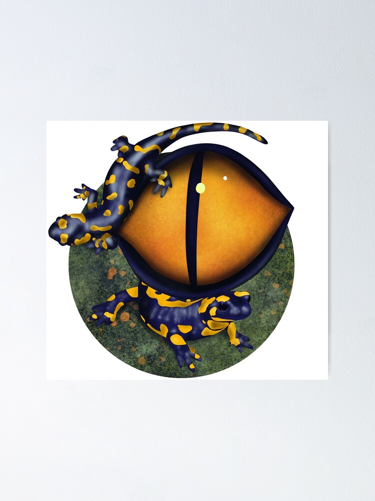 Alternate view of The eye of the salamander Poster