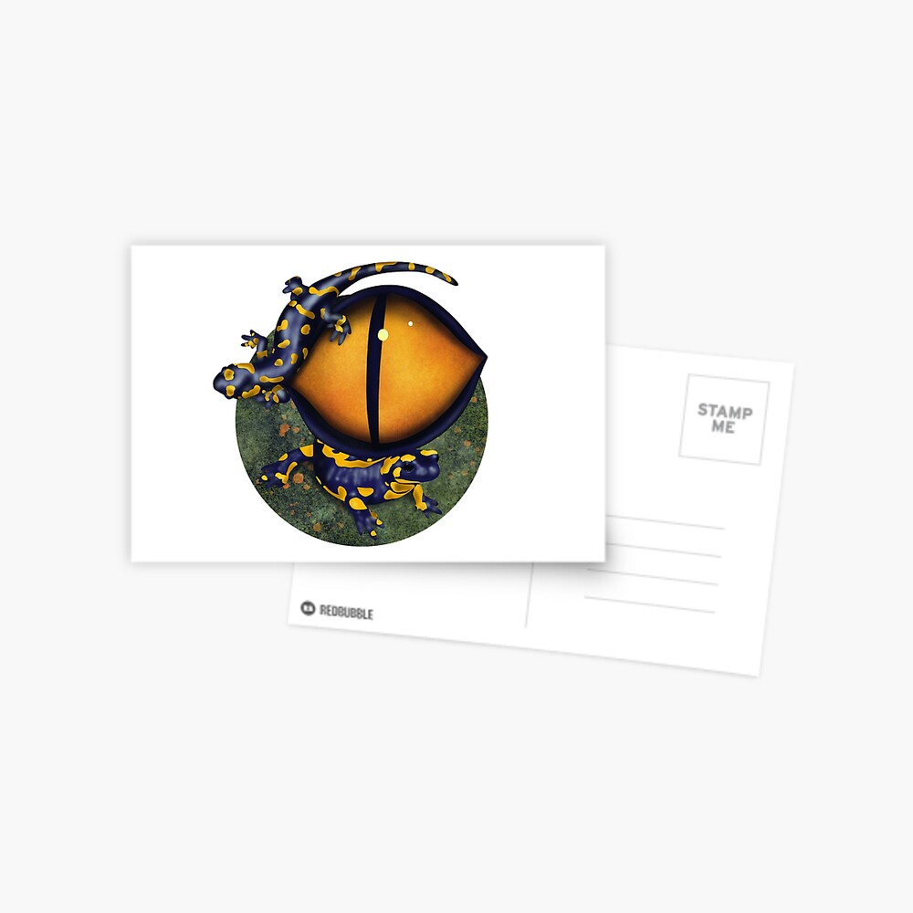 The eye of the salamander Postcard