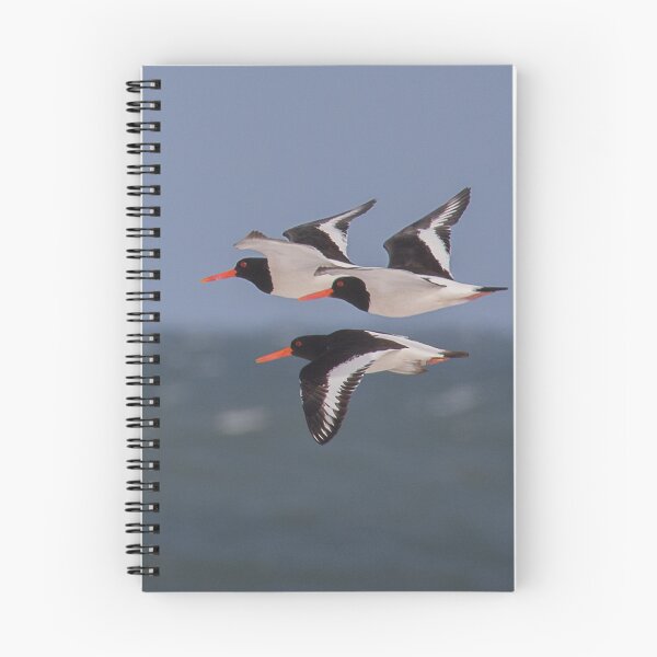 Item preview, Flypast de ostrero designed and sold by Susan Purveur.