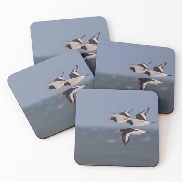 Item preview, Oystercatcher flypast designed and sold by Susan Purveur.