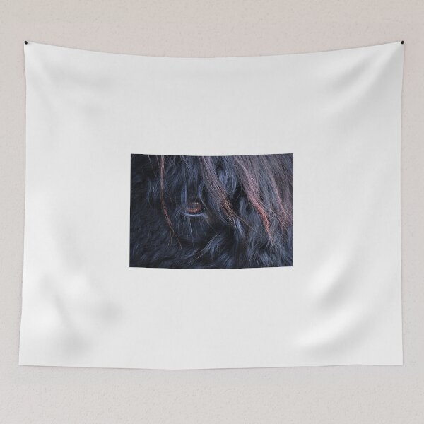 Item preview, Black Highland Cow Close Up. designed and sold by Rob-Turner.