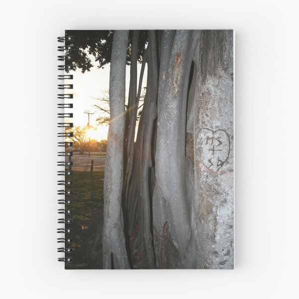 Item preview, Sun Playing Peek-a-Boo designed and sold by shoot2print.