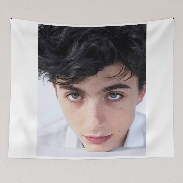Item preview, Timothée Chalamet designed and sold by sophmalinn.