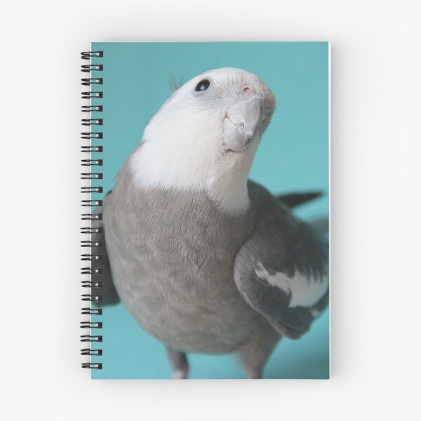 Item preview, Cockatiel 1 designed and sold by photofiesta.