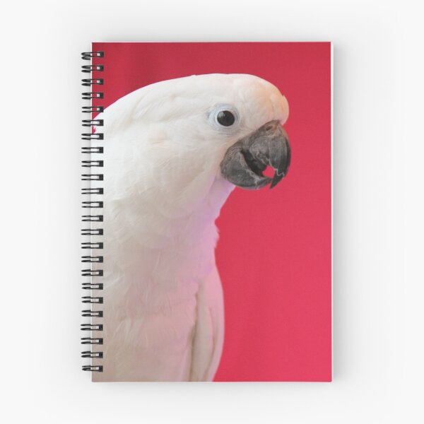 Item preview, Cockatoo Christmas designed and sold by photofiesta.