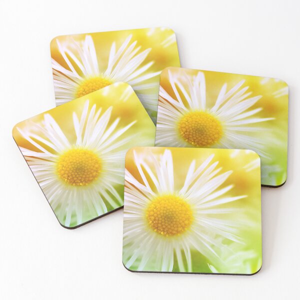 Item preview, Chamomiles daisy flower designed and sold by Grégory DUBUS.