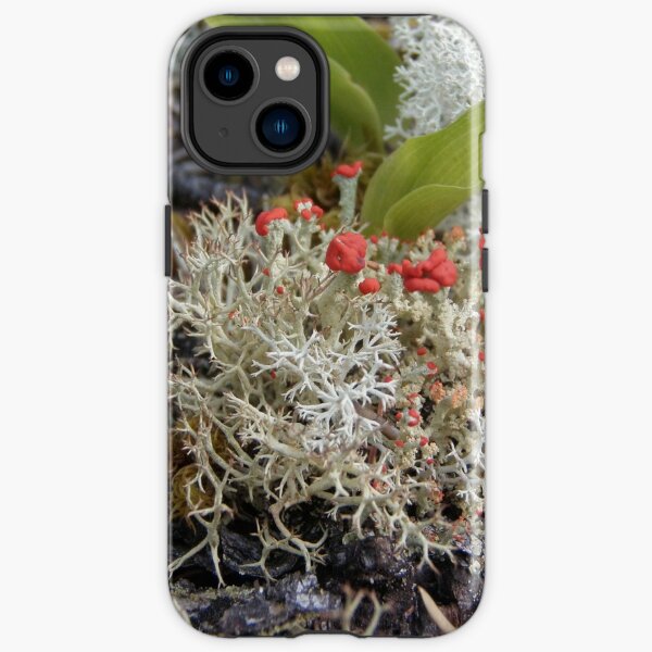 Moss iPhone Tough Case