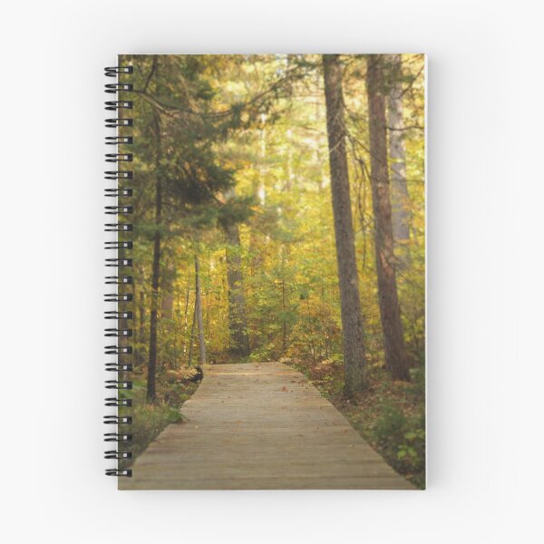 Item preview, Boardwalk in the Fall designed and sold by Kriestienn De Bruyne.