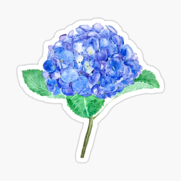Item preview, hand painted blue purple hydrangea 2020 designed and sold by ColorandColor.