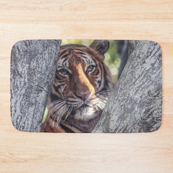 Item preview, Cat's Eye View designed and sold by Bob Hardy.