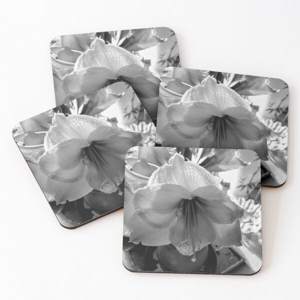 Item preview, amaryllis in the light designed and sold by Cynthia Staples.