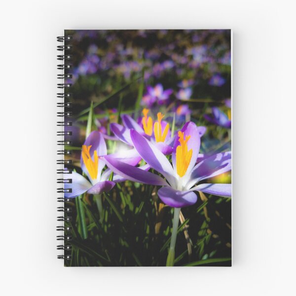Item preview, Flowers, flower meadow, blossoms, floral designed and sold by rhnaturestyles.