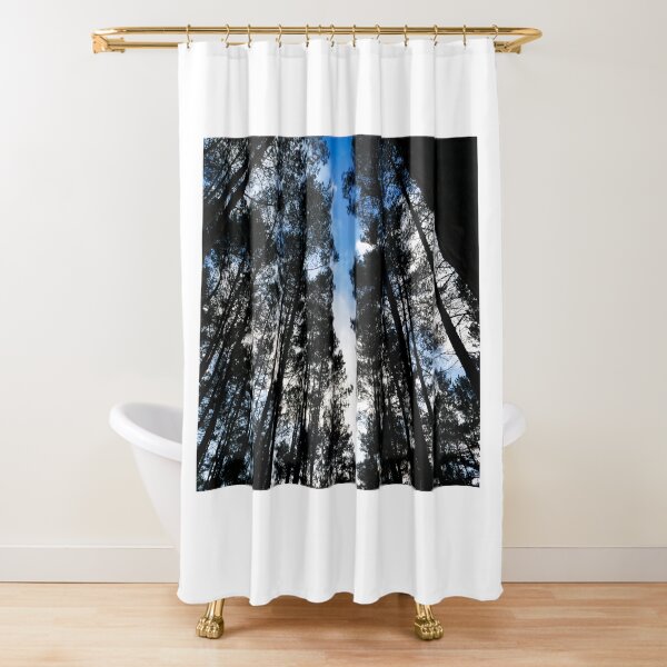 Blue skies and trees at Swinley Forest Shower Curtain