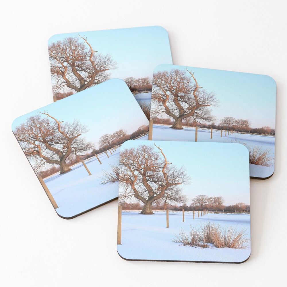 Item preview, Coasters (Set of 4) designed and sold by Rakeyshakey.