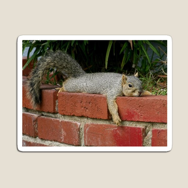 Just Chillin' Magnet