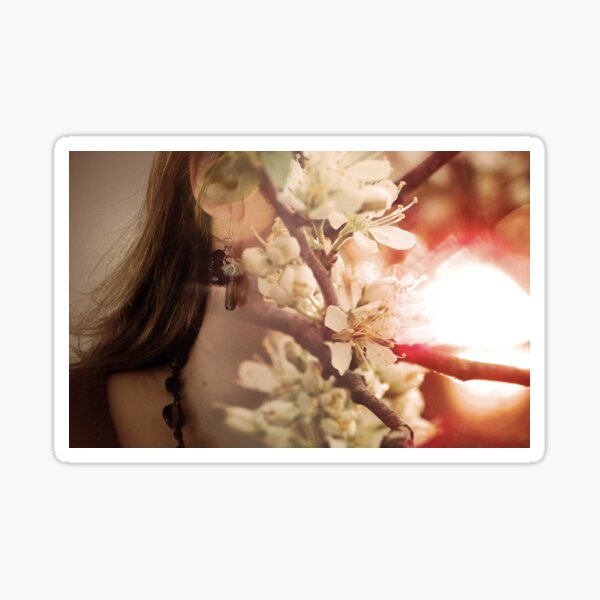 Skin Sticker