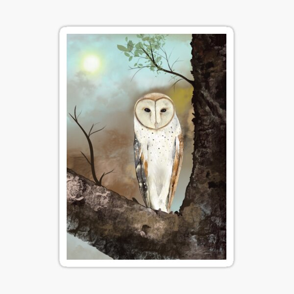 Owl Sticker