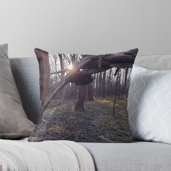 Item preview, The sun sets on broken wood designed and sold by time-fox.