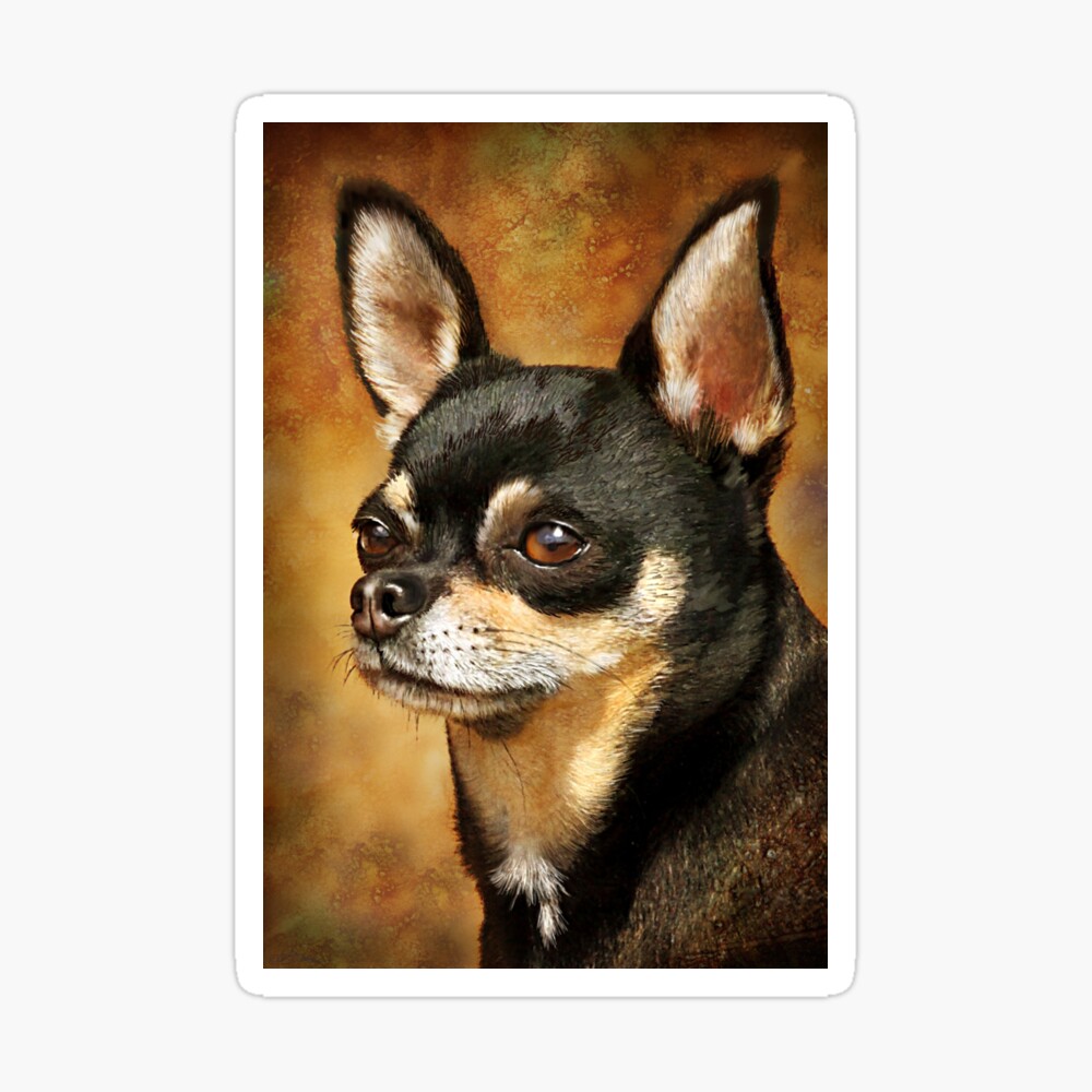 Red Nosed Chihuahua Terrier Laughing Photo Blank Greeting Card or Custom Design