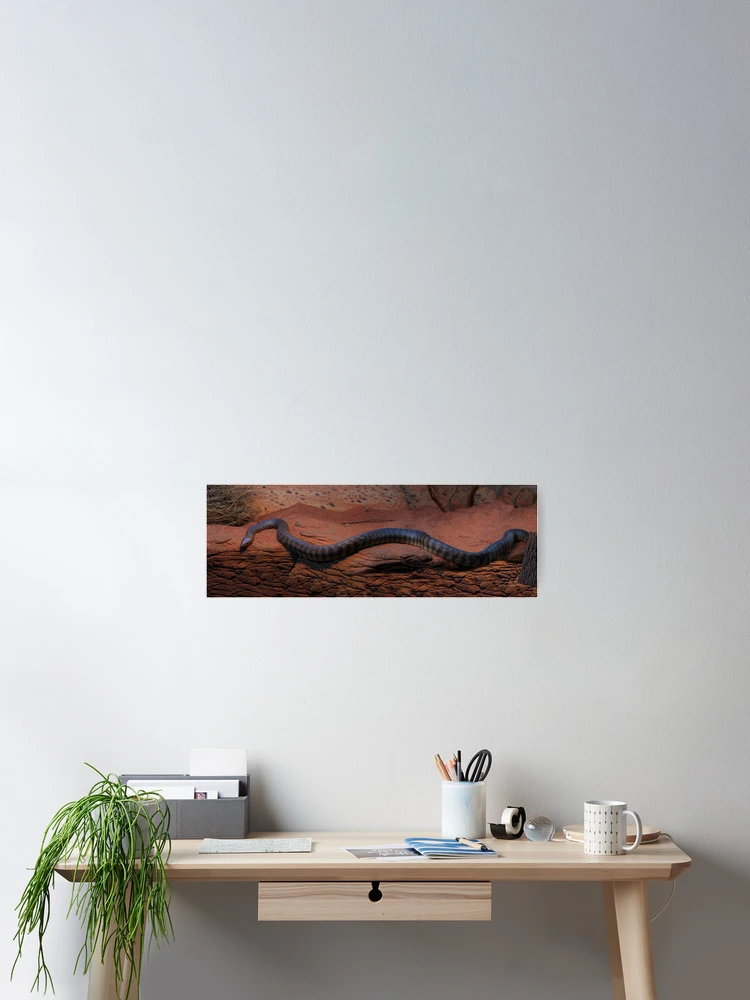 Thumbnail 2 of 3, Poster, Woma Python designed and sold by Sandra Chung.