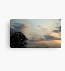 TRANSLUCENT SKY Metal Print
