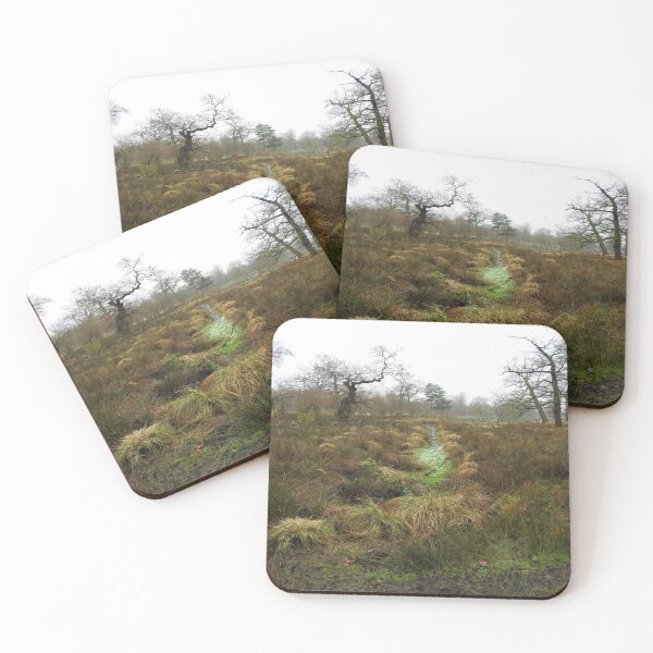 Item preview, Nature Walk designed and sold by RoseBumblebee.