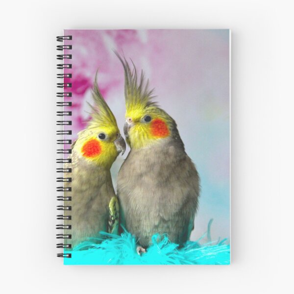 Item preview, Cockatiels 3 designed and sold by photofiesta.