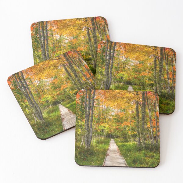 Item preview, Jesup Path designed and sold by Adam Northam (Home & Away Photography).