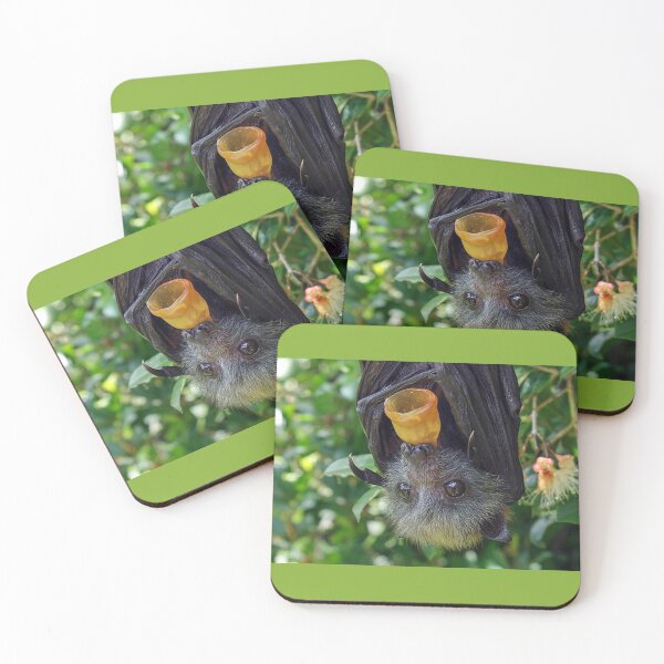Item preview, Batzilla - Adorable Flying Fox designed and sold by batzilla.