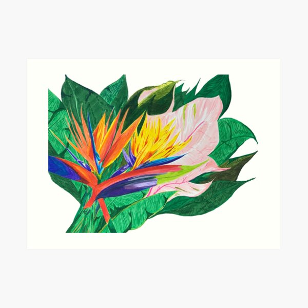 Bird of Paradise Art Print