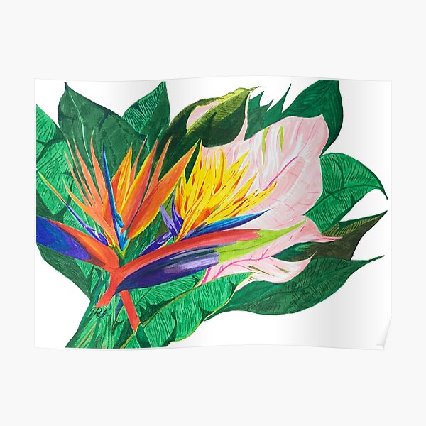 Bird of Paradise Poster