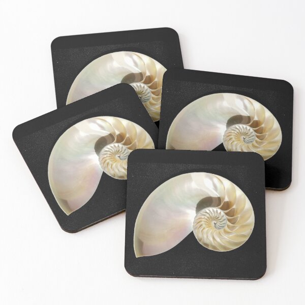 Item preview, Chambered Nautilus Shell Sliced in Half with Black Background designed and sold by Creative Endeavors ..