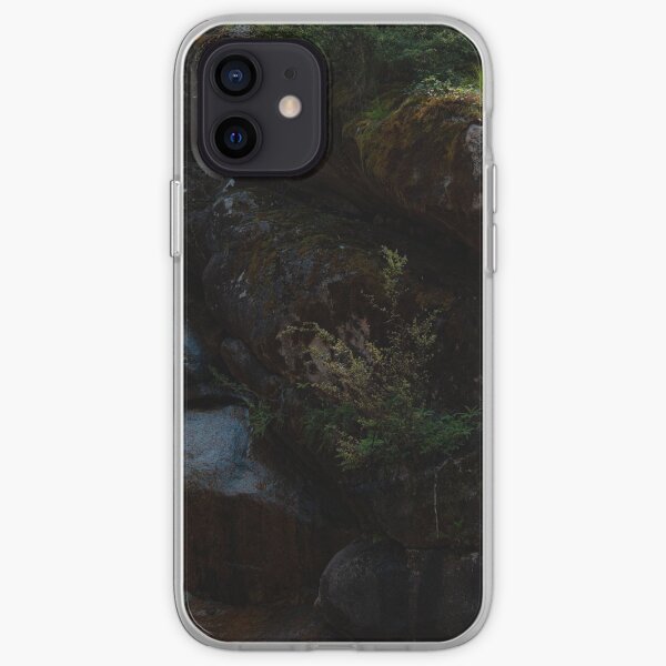Falling Into The Ladies' Bath iPhone Soft Case