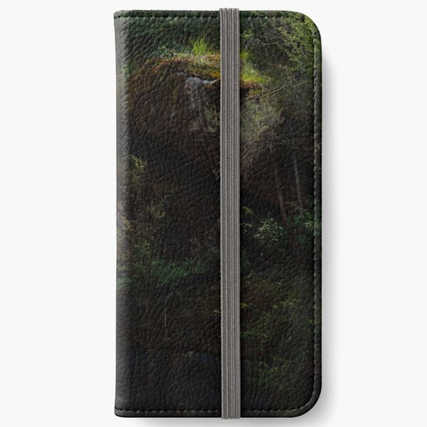 Falling Into The Ladies' Bath iPhone Wallet
