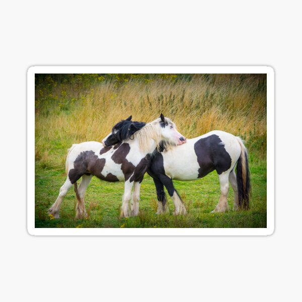 Horse Hug Sticker