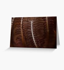 Sea Fern Greeting Card