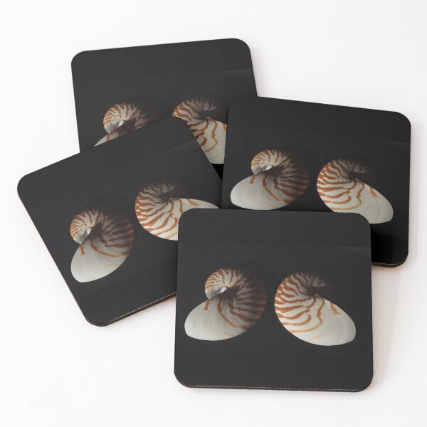Item preview, Chambered Nautilus Shells Isolated on Dark Background designed and sold by Creative Endeavors ..