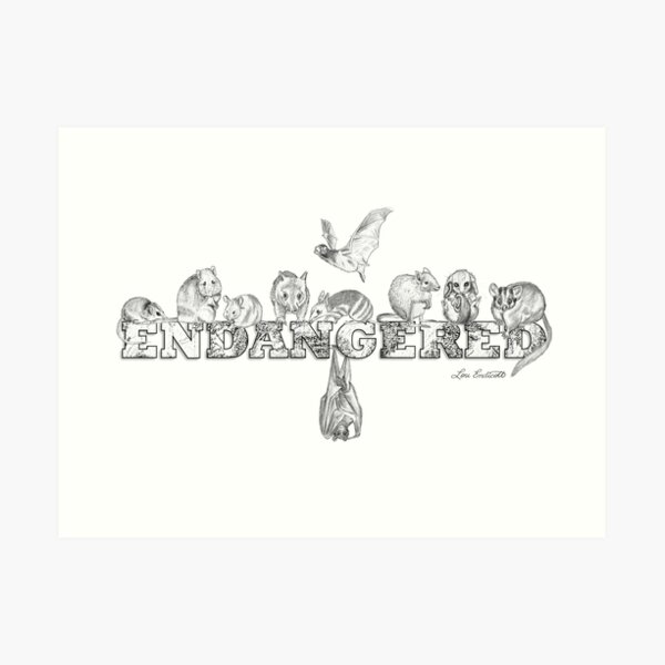 Endangered Australian Animals Art Print