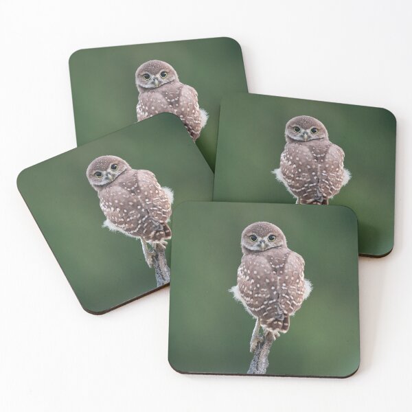 Item preview, Burrowing Owlet designed and sold by mlorenz.