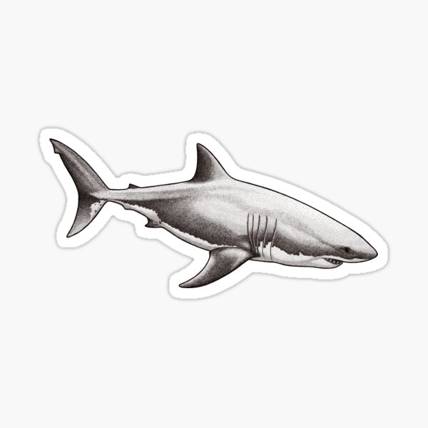Great White Shark Sticker