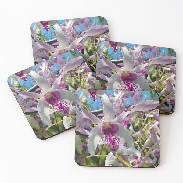 Item preview, White and Purple Orchids designed and sold by fnq-photography.