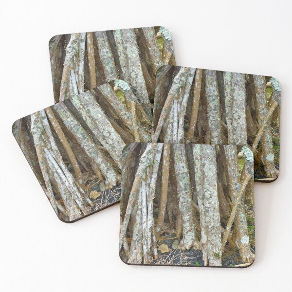 Item preview, Iao Valley State Monument Study 8  designed and sold by Robert Meyers-Lussier.
