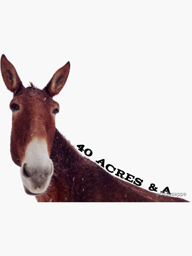 40 acres and a mule jordans