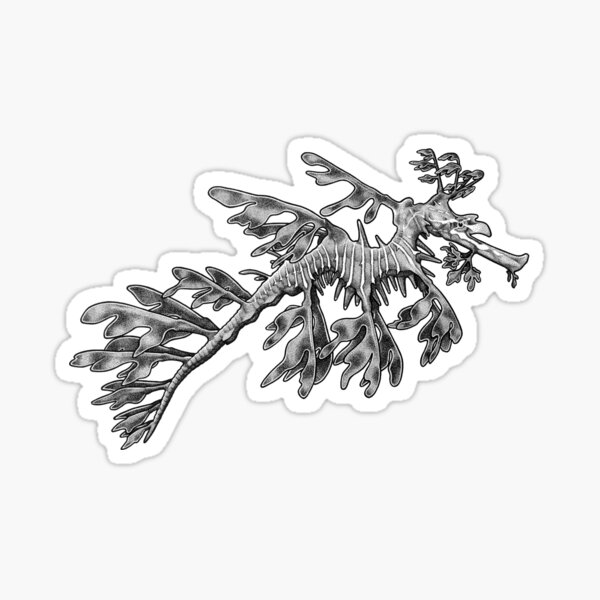 Item preview, Leafy Sea Dragon designed and sold by Josh Hilditch.