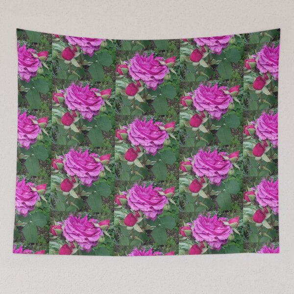 Item preview, Fotografía de rosas rosadas designed and sold by esvb.